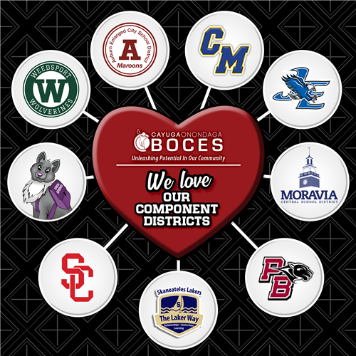 Component Districts